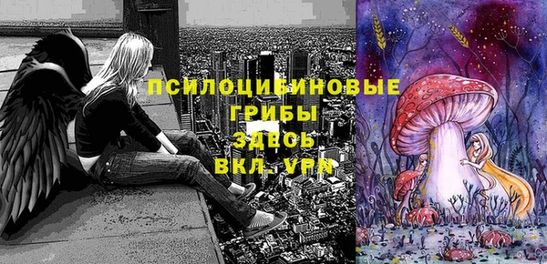 крисы Арсеньев