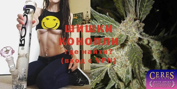 крисы Арсеньев