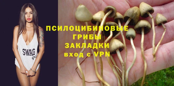 крисы Арсеньев