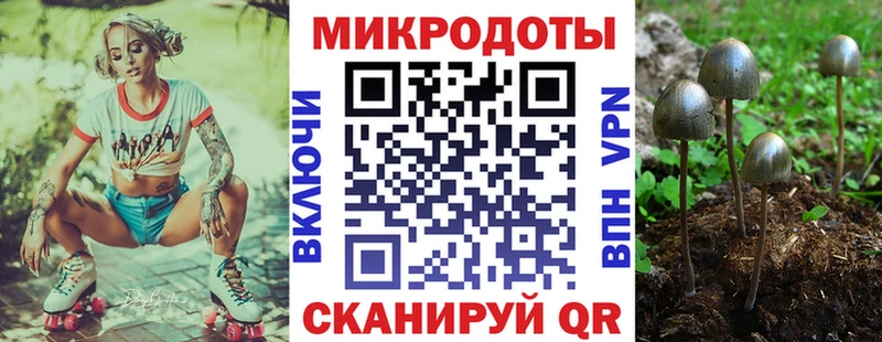 Купить  Назрань  Галлюциногенные грибы мухоморы 