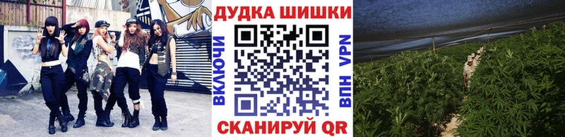 Конопля конопля  Купить где  Назрань 